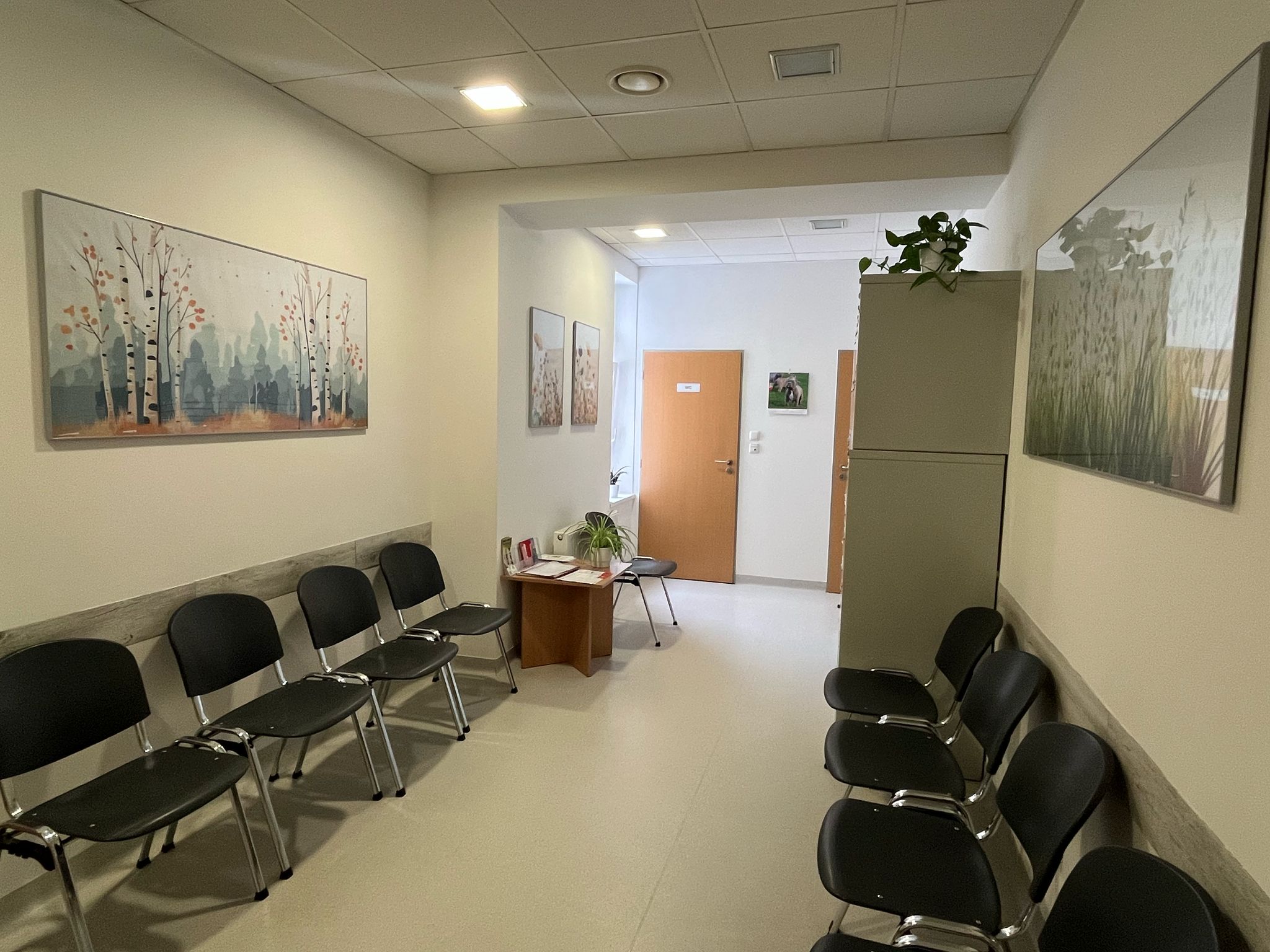 Ordinace